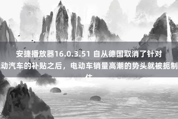 安捷播放器16.0.3.51 自从德国取消了针对电动汽车的补贴之后，电动车销量高潮的势头就被扼制住
