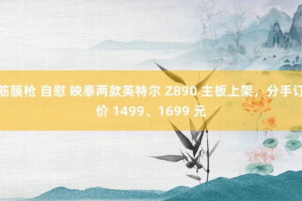 筋膜枪 自慰 映泰两款英特尔 Z890 主板上架，分手订价 1499、1699 元