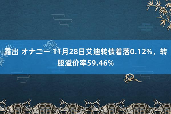 露出 オナニー 11月28日艾迪转债着落0.12%，转股溢价率59.46%