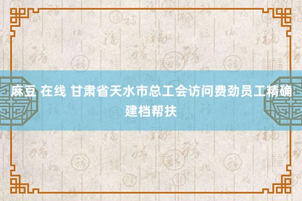 麻豆 在线 甘肃省天水市总工会访问费劲员工精确建档帮扶
