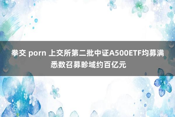拳交 porn 上交所第二批中证A500ETF均募满 悉数召募畛域约百亿元