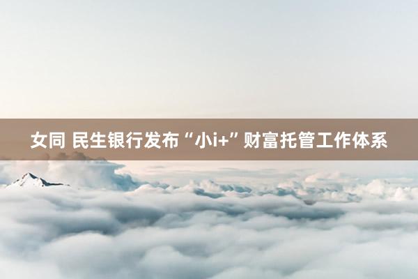 女同 民生银行发布“小i+”财富托管工作体系
