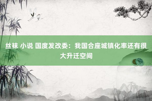 丝袜 小说 国度发改委：我国合座城镇化率还有很大升迁空间
