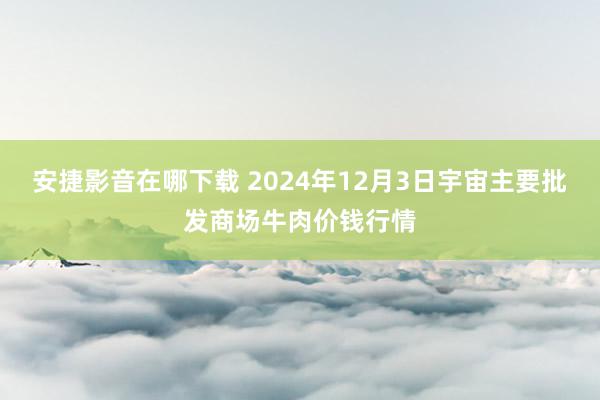 安捷影音在哪下载 2024年12月3日宇宙主要批发商场牛肉价钱行情
