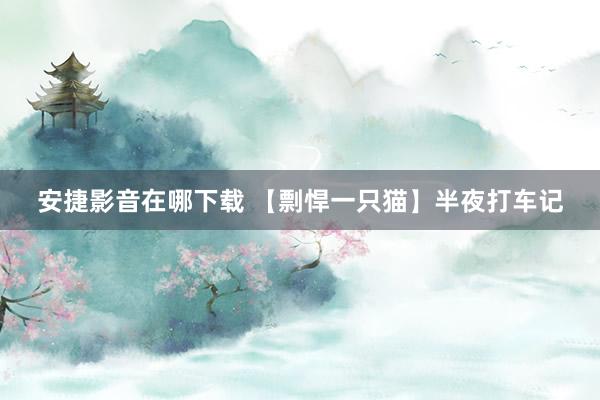 安捷影音在哪下载 【剽悍一只猫】半夜打车记