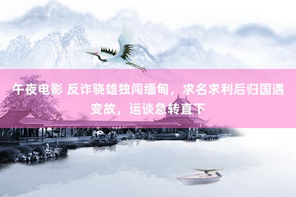 午夜电影 反诈骁雄独闯缅甸，求名求利后归国遇变故，运谈急转直下