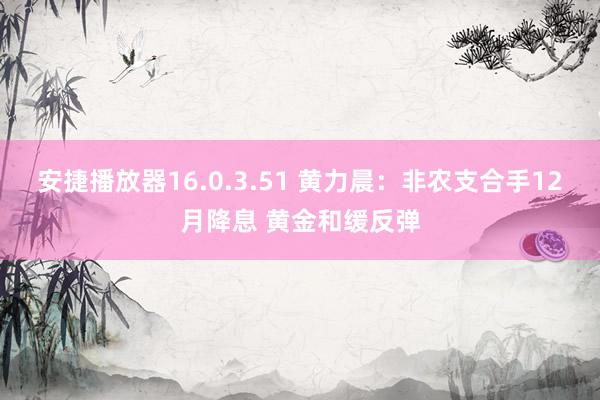 安捷播放器16.0.3.51 黄力晨：非农支合手12月降息 黄金和缓反弹