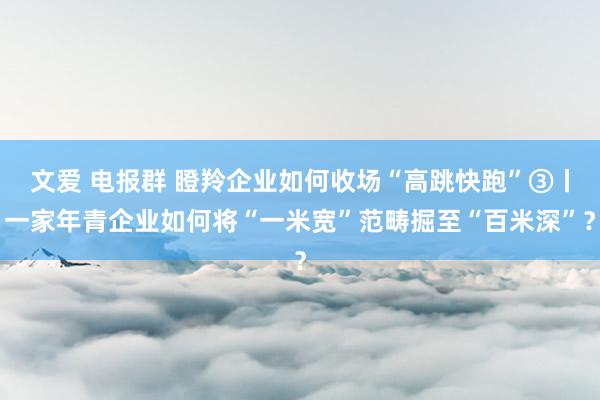 文爱 电报群 瞪羚企业如何收场“高跳快跑”③丨一家年青企业如何将“一米宽”范畴掘至“百米深”？