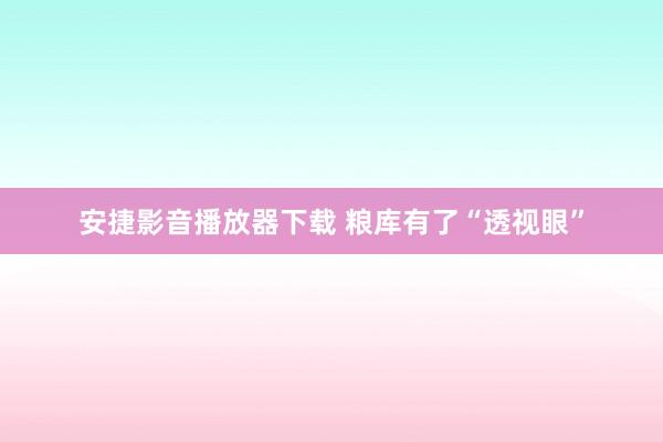 安捷影音播放器下载 粮库有了“透视眼”