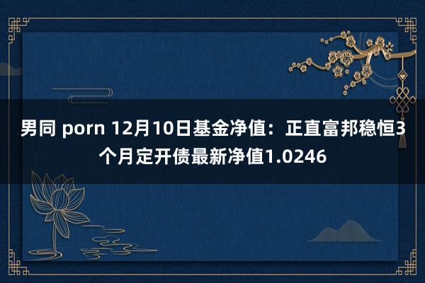 男同 porn 12月10日基金净值：正直富邦稳恒3个月定开债最新净值1.0246