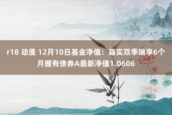 r18 动漫 12月10日基金净值：嘉实双季瑞享6个月握有债券A最新净值1.0606