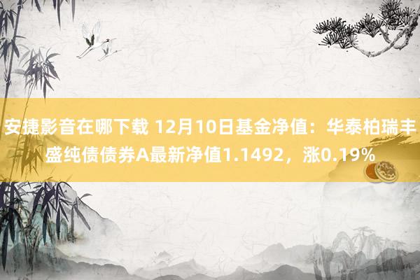 安捷影音在哪下载 12月10日基金净值：华泰柏瑞丰盛纯债债券A最新净值1.1492，涨0.19%