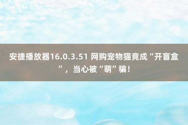 安捷播放器16.0.3.51 网购宠物猫竟成“开盲盒”，当心被“萌”骗！