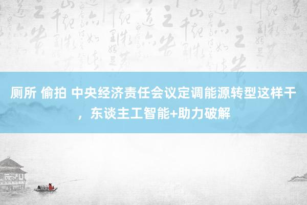 厕所 偷拍 中央经济责任会议定调能源转型这样干，东谈主工智能+助力破解