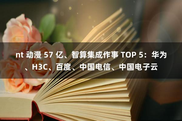 nt 动漫 57 亿、智算集成作事 TOP 5：华为、H3C、百度、中国电信、中国电子云