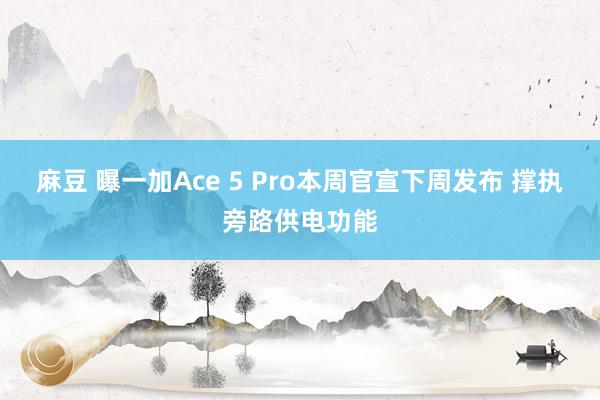 麻豆 曝一加Ace 5 Pro本周官宣下周发布 撑执旁路供电功能