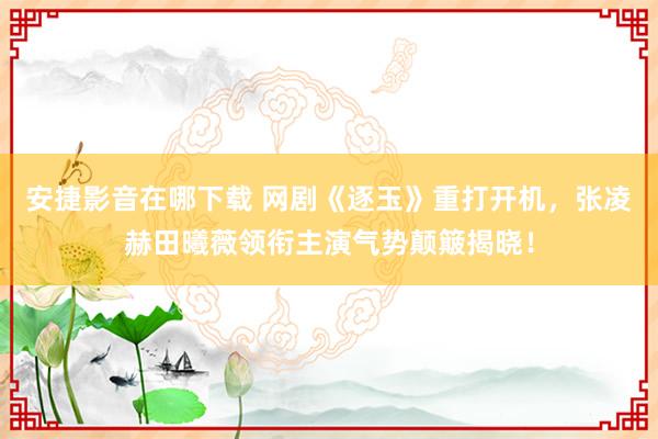 安捷影音在哪下载 网剧《逐玉》重打开机，张凌赫田曦薇领衔主演气势颠簸揭晓！