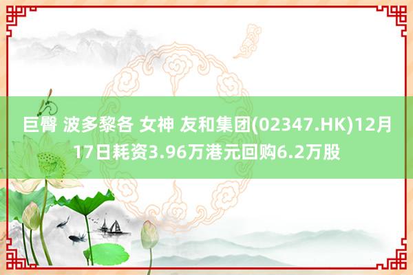 巨臀 波多黎各 女神 友和集团(02347.HK)12月17日耗资3.96万港元回购6.2万股