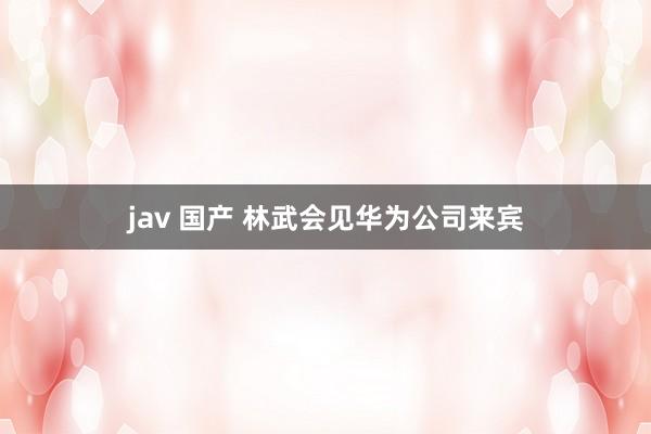 jav 国产 林武会见华为公司来宾