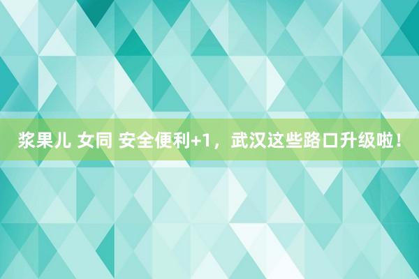 浆果儿 女同 安全便利+1，武汉这些路口升级啦！