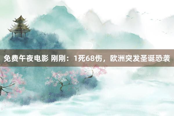 免费午夜电影 刚刚：1死68伤，欧洲突发圣诞恐袭