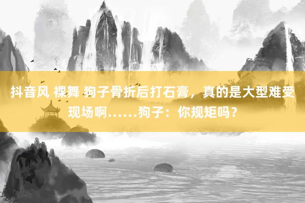 抖音风 裸舞 狗子骨折后打石膏，真的是大型难受现场啊……狗子：你规矩吗？