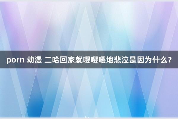 porn 动漫 二哈回家就嘤嘤嘤地悲泣是因为什么？