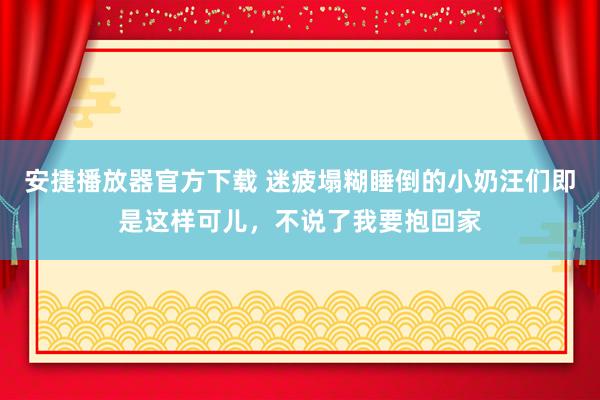 安捷播放器官方下载 迷疲塌糊睡倒的小奶汪们即是这样可儿，不说了我要抱回家