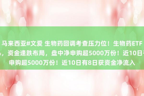 马来西亚#文爱 生物药回调考查压力位！生物药ETF(159839)跌1.69%，资金逢跌布局，盘中净申购超5000万份！近10日有8日获资金净流入