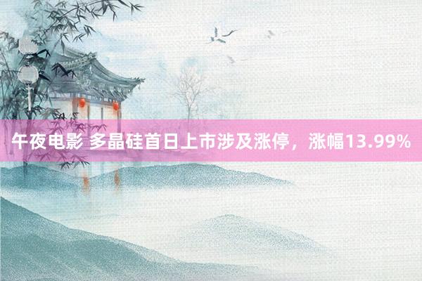 午夜电影 多晶硅首日上市涉及涨停，涨幅13.99%