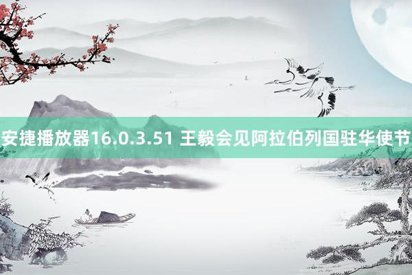安捷播放器16.0.3.51 王毅会见阿拉伯列国驻华使节