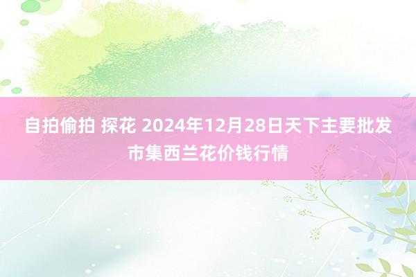 自拍偷拍 探花 2024年12月28日天下主要批发市集西兰花价钱行情