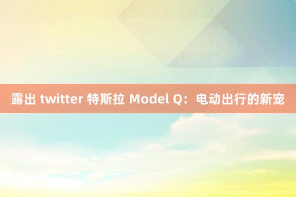 露出 twitter 特斯拉 Model Q：电动出行的新宠