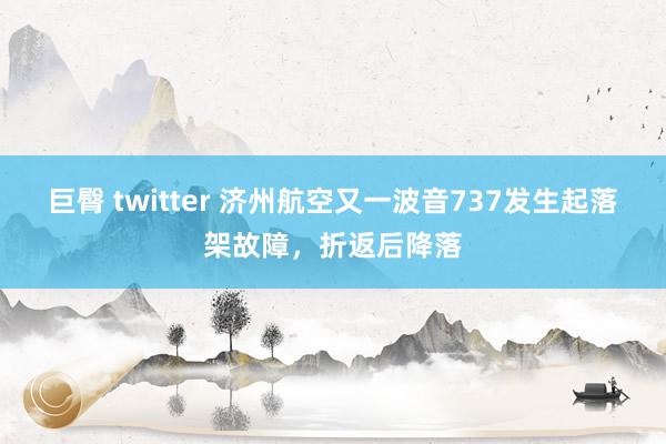 巨臀 twitter 济州航空又一波音737发生起落架故障，折返后降落
