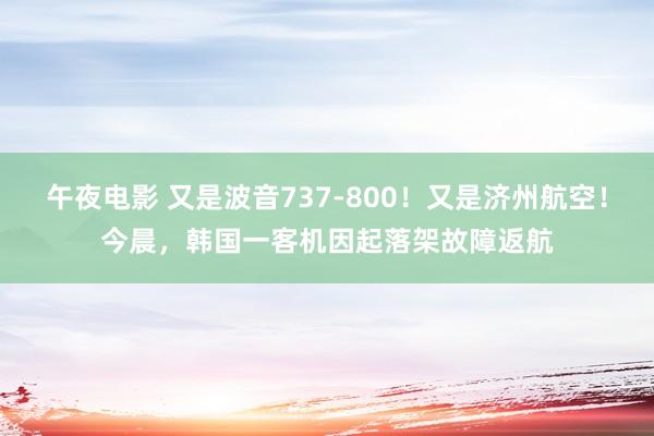 午夜电影 又是波音737-800！又是济州航空！今晨，韩国一客机因起落架故障返航