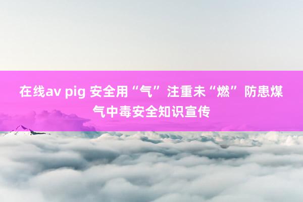 在线av pig 安全用“气” 注重未“燃” 防患煤气中毒安全知识宣传