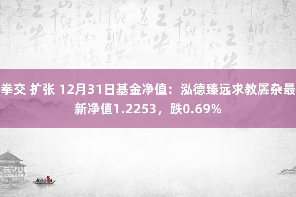 拳交 扩张 12月31日基金净值：泓德臻远求教羼杂最新净值1.2253，跌0.69%
