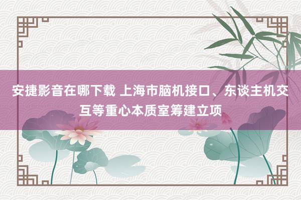 安捷影音在哪下载 上海市脑机接口、东谈主机交互等重心本质室筹建立项