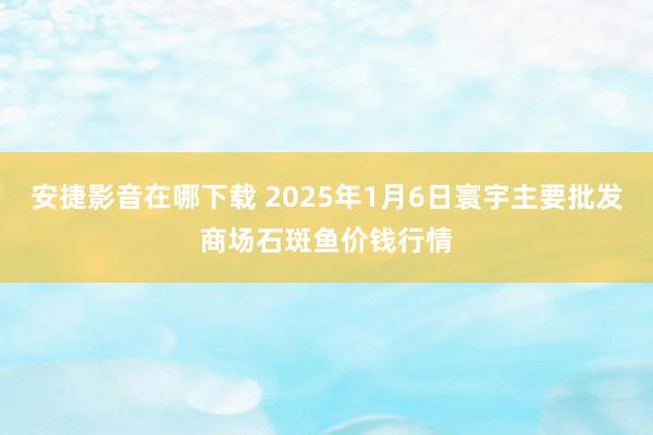 安捷影音在哪下载 2025年1月6日寰宇主要批发商场石斑鱼价钱行情
