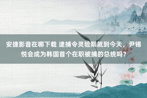 安捷影音在哪下载 逮捕令灵验期就到今天，尹锡悦会成为韩国首个在职被捕的总统吗？