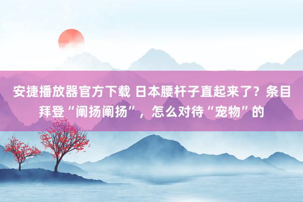 安捷播放器官方下载 日本腰杆子直起来了？条目拜登“阐扬阐扬”，怎么对待“宠物”的