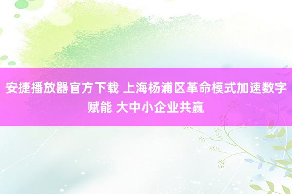 安捷播放器官方下载 上海杨浦区革命模式加速数字赋能 大中小企业共赢