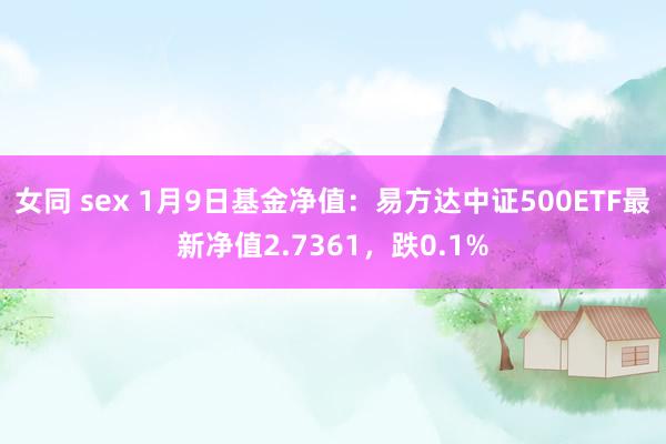 女同 sex 1月9日基金净值：易方达中证500ETF最新净值2.7361，跌0.1%