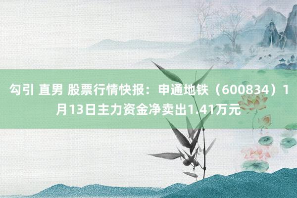 勾引 直男 股票行情快报：申通地铁（600834）1月13日主力资金净卖出1.41万元