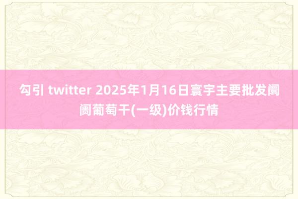 勾引 twitter 2025年1月16日寰宇主要批发阛阓葡萄干(一级)价钱行情