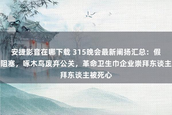 安捷影音在哪下载 315晚会最新阐扬汇总：假贷宝被阻塞，啄木鸟废弃公关，革命卫生巾企业崇拜东谈主被死心