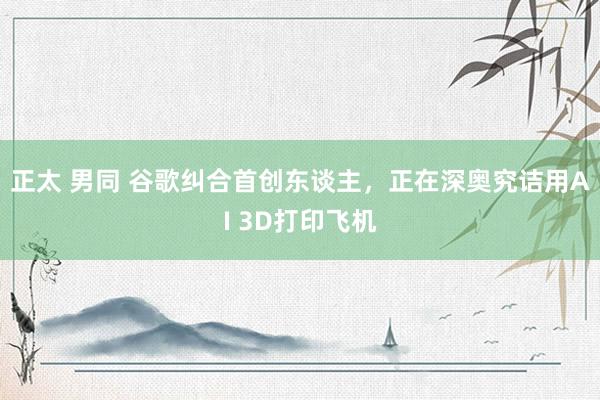 正太 男同 谷歌纠合首创东谈主，正在深奥究诘用AI 3D打印飞机