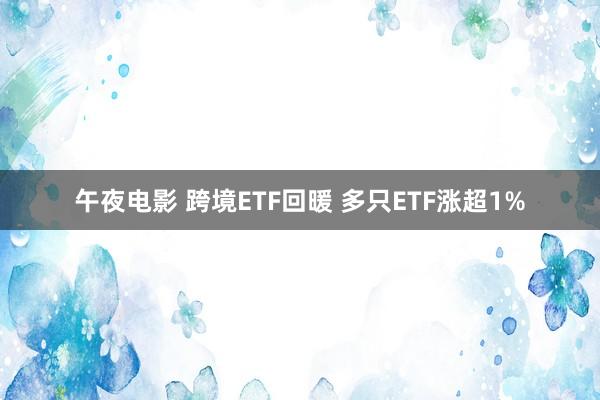 午夜电影 跨境ETF回暖 多只ETF涨超1%