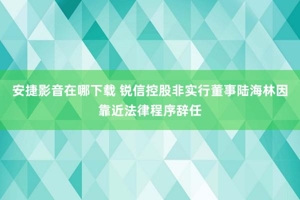 安捷影音在哪下载 锐信控股非实行董事陆海林因靠近法律程序辞任