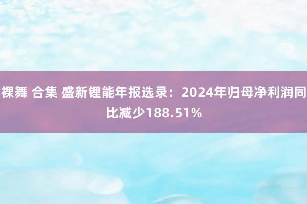 裸舞 合集 盛新锂能年报选录：2024年归母净利润同比减少188.51%